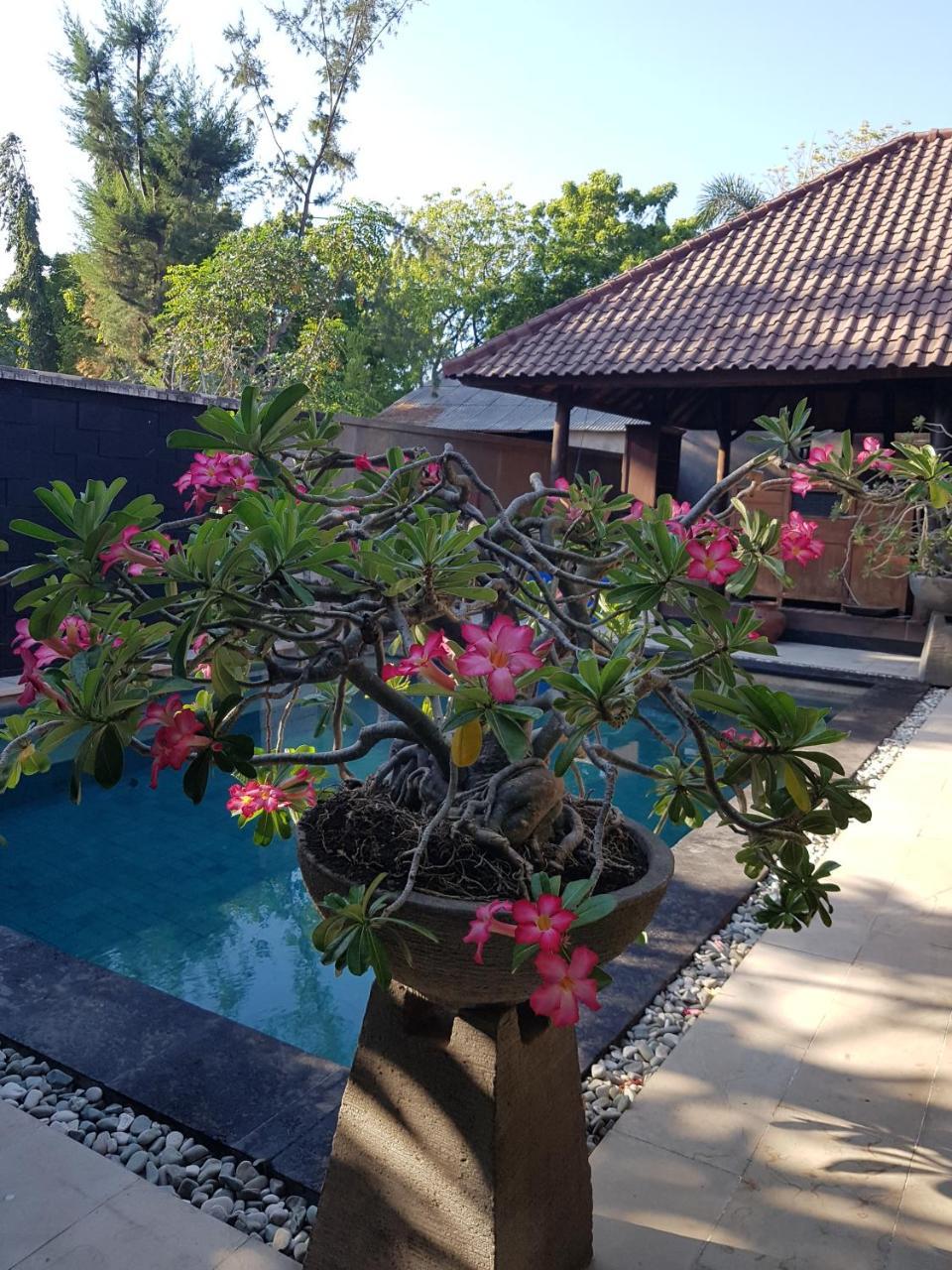 Gili Exotic Villa Gili Trawangan Kültér fotó